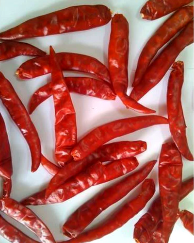 Super-10 dry red chilli