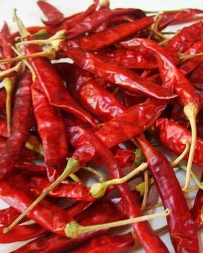 Super-10 dry red chilli