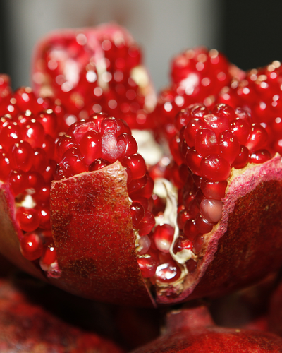 Pomegranate
