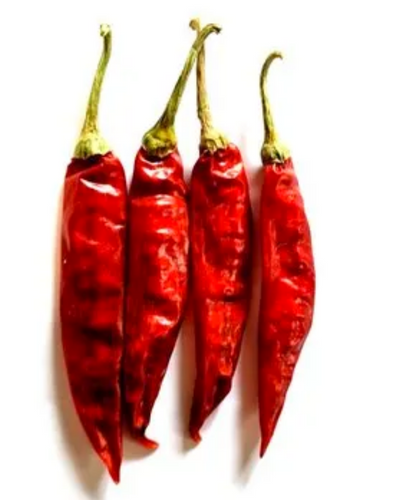 Super-10 dry red chilli