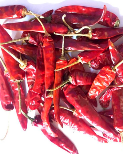 Indo-5 dry red chilli
