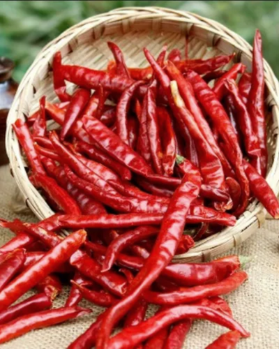 Teja/S17 dry red chilli