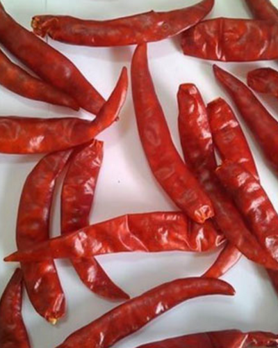Teja/S17 dry red chilli